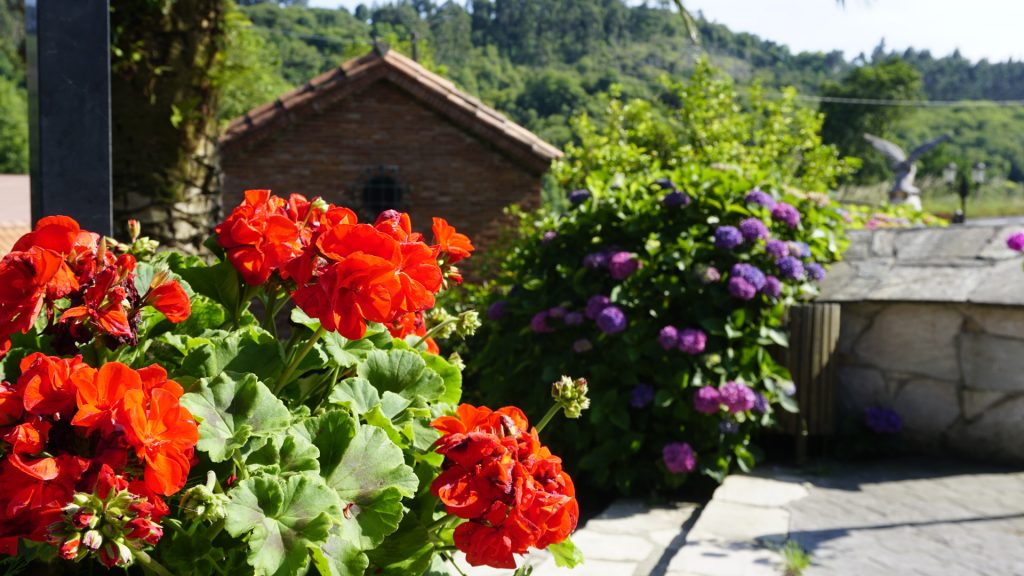 Flores Casa Rural de alquiler completo en Cantabria